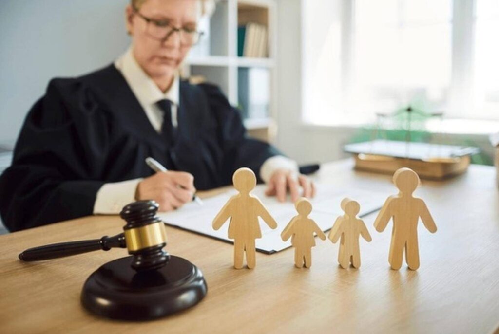 Family Lawyer