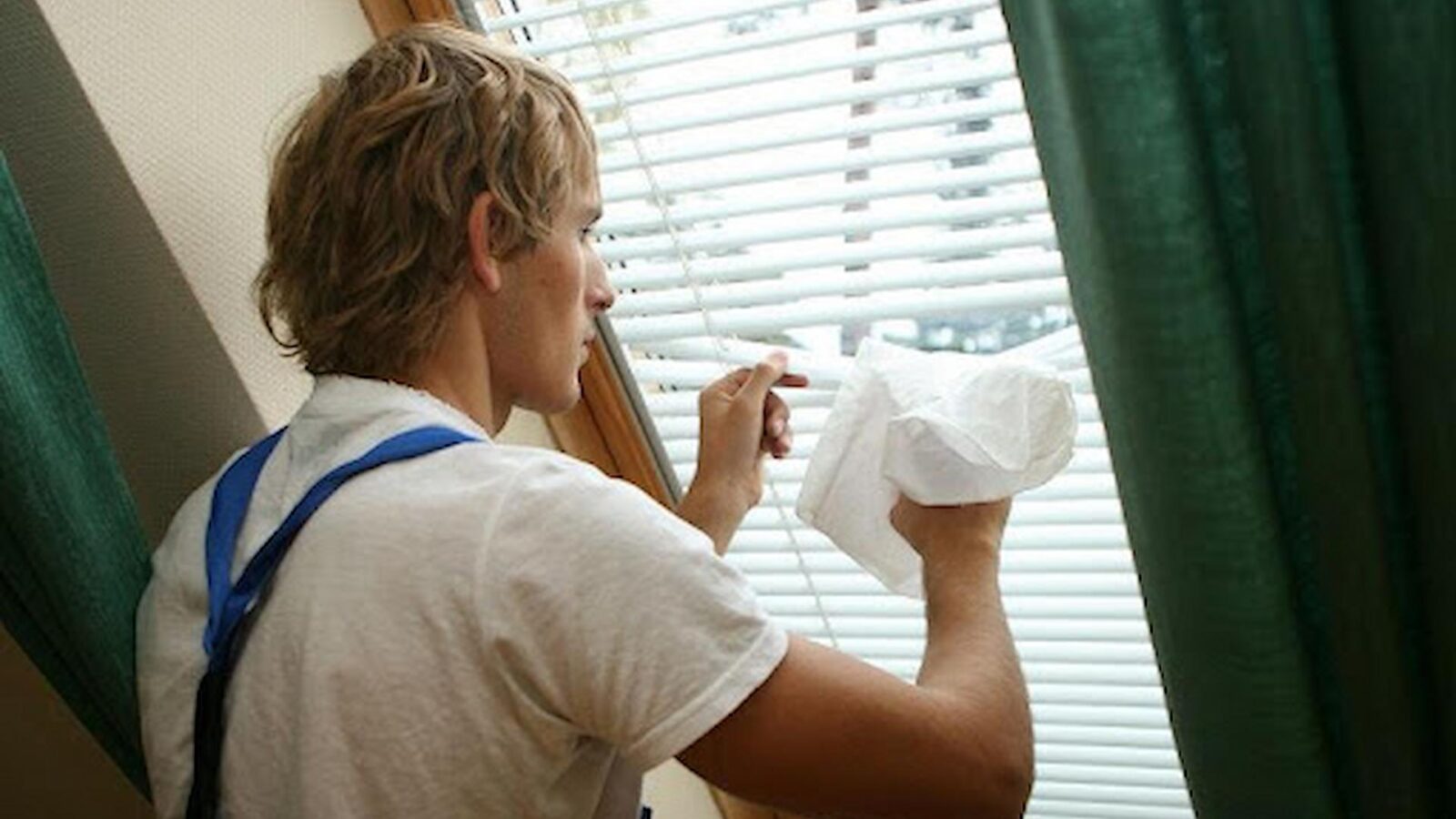 Window Blinds